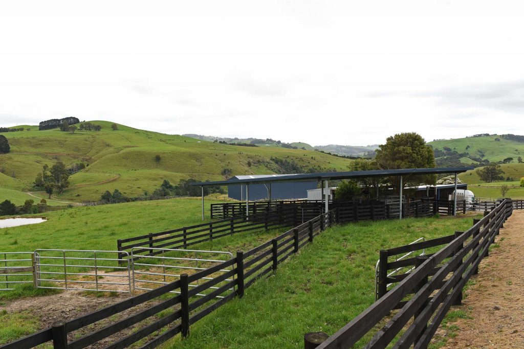 cattle breeders Gippsland