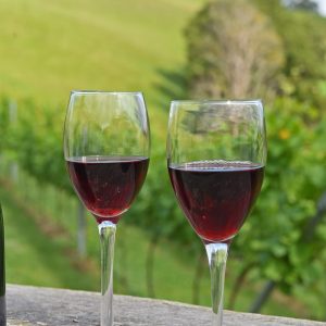 Premium Pinot Noir Gippsland