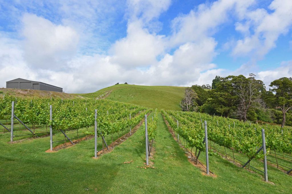 Pinot Noir Producers Gippsland