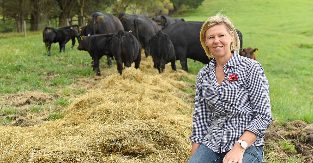 cattle breeders Gippsland